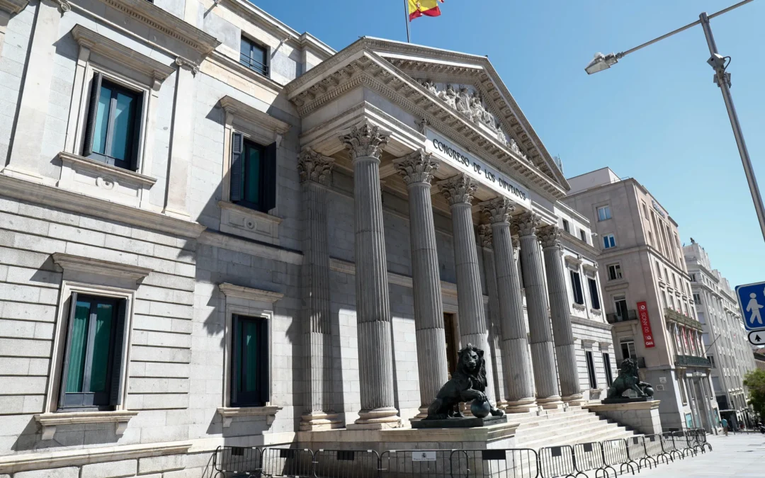 Legislar: Ley y Real Decreto Ley