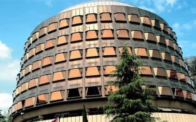 Tribunal Constitucional, patriotismo constitucional y neogolpismo