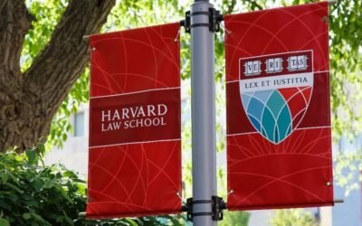 ¿Por qué no se lee a los profesores de Universidad? Sobre las dificultades de la transferencia del conocimiento