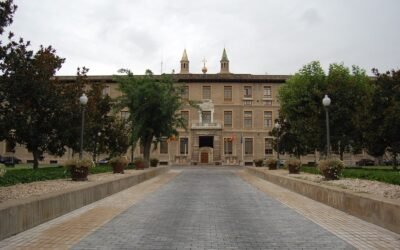 Recurso ante el Tribunal Constitucional contra la Ley de Contratos del Sector Público