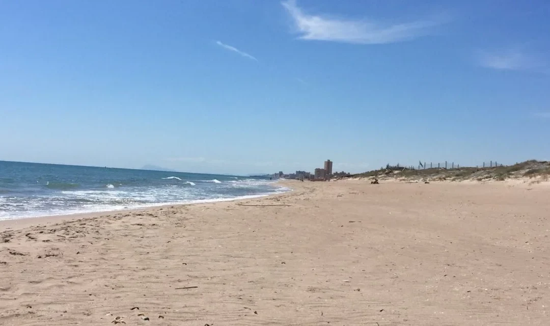 Reforma de la Ley de costas: agresión al litoral