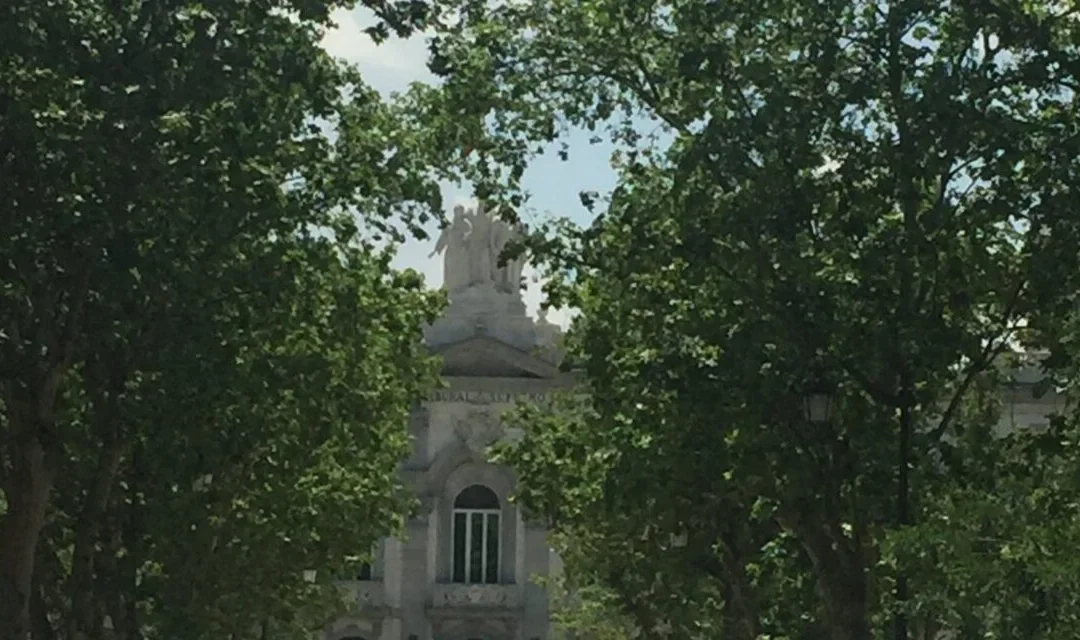 Recurso contencioso administrativo sin agotar la vía administrativa