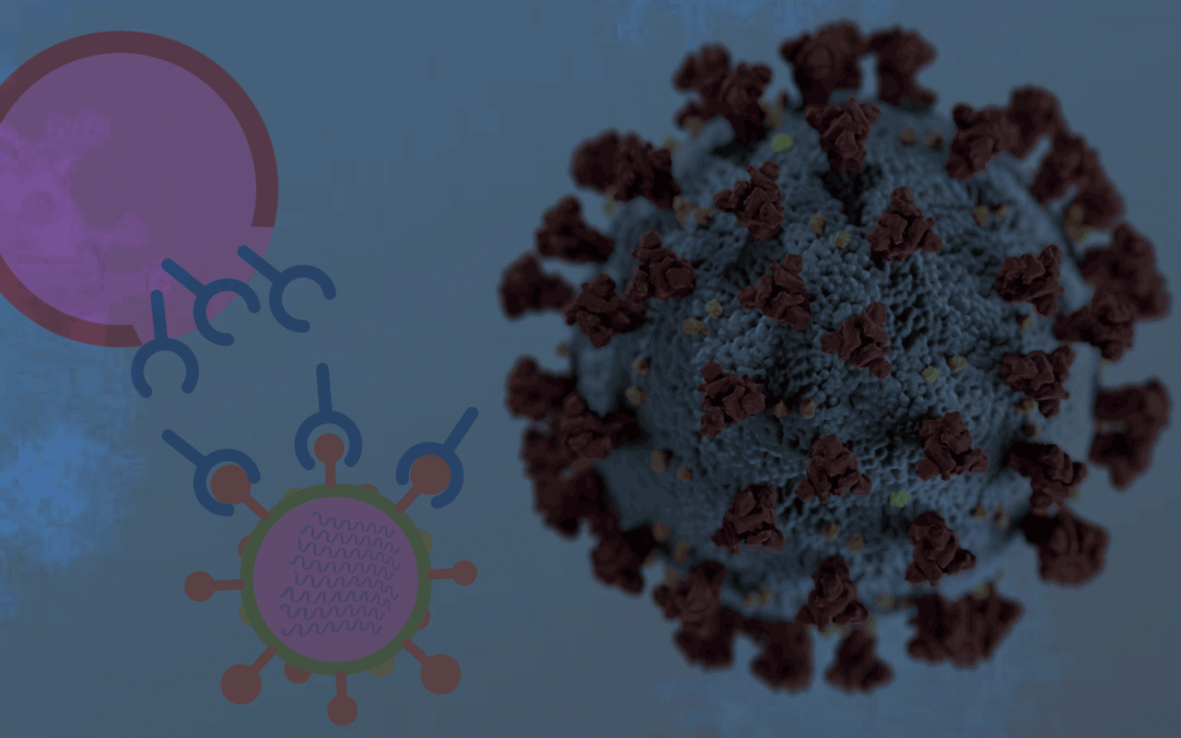 COVID19 y contratación pública