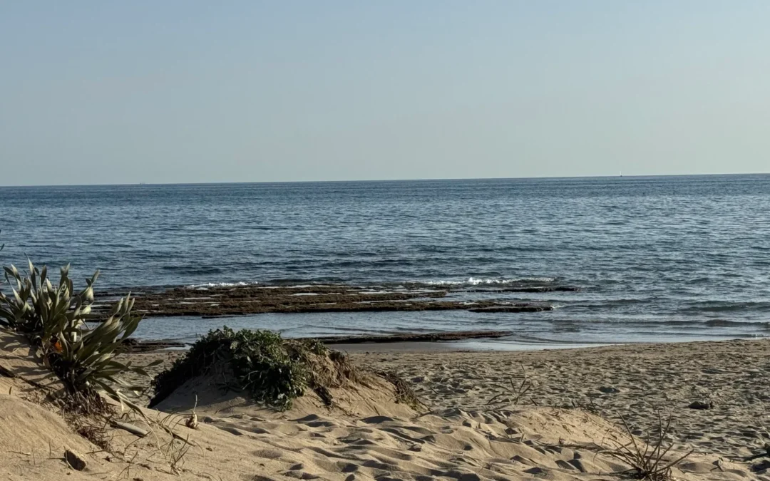 Foucault no fue a la playa: ordenanzas municipales de playa