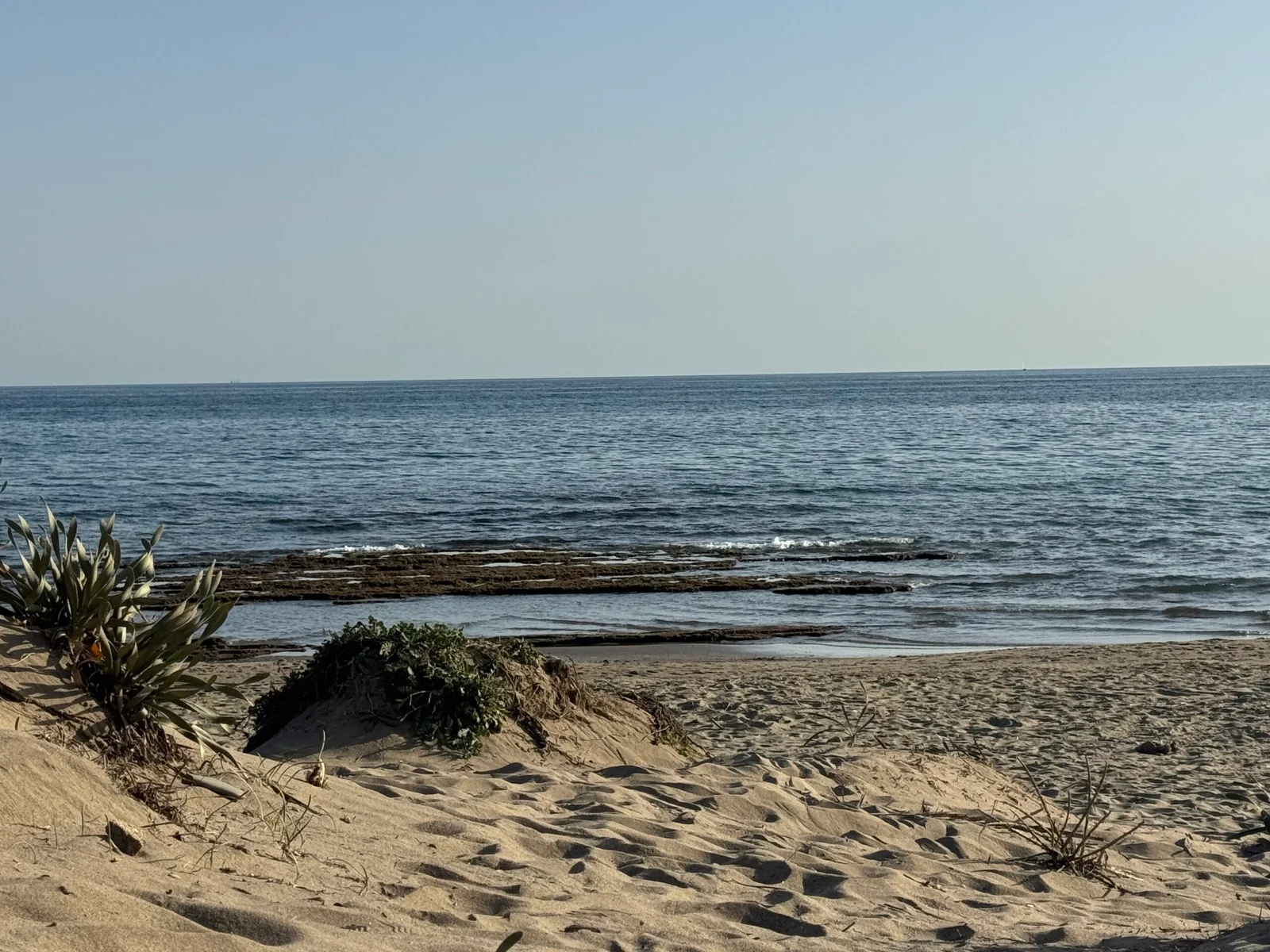 ordenanza municipal de playa